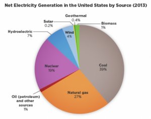Net Electricity Generation in the United States by Source (2013)
