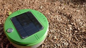 Solar Powered Weed Control