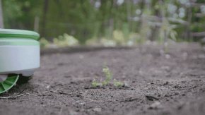 Tertill Cutting a Weed